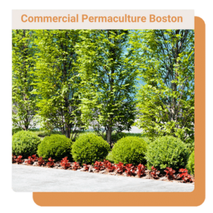 sustainable commercial landscaping